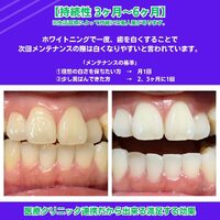 画像481