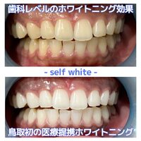 画像550