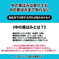 画像733